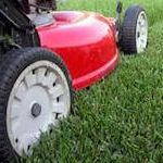 Advanced Carpet Cleaners will handle lawn maintenance and landscaping in Madison, Jackson, counties in Northeast Alabama including Scottsboro, AL, and Huntsville, AL.